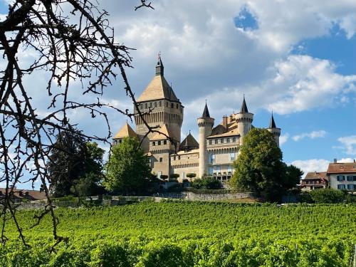 un château avec un vignoble devant lui dans l'établissement Charme mystique de la Chine, Free Parking, à Morges