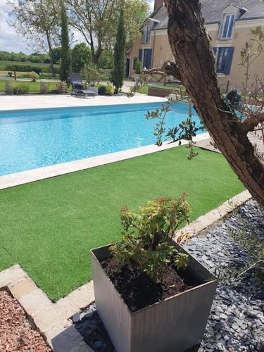 une cour avec une piscine et une plante dans l'établissement Gîtes avec piscine chauffée, à Rosnay