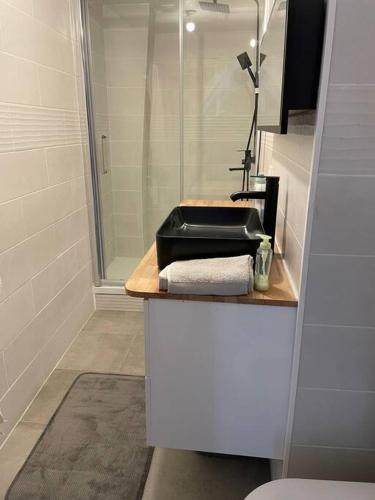 une salle de bain avec un lavabo et une douche dans l'établissement Rouen hyper centre Place Du Vieux Marché, à Rouen