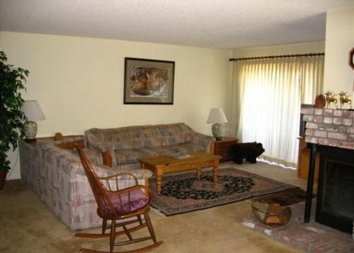 ein Wohnzimmer mit einem Sofa und einer Katze vor einem Kamin in der Unterkunft Rr-interlaken 25 in June Lake