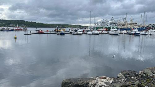 Gallery image of PINEBROOK House double bed Small En-suite Free Parking in Killybegs