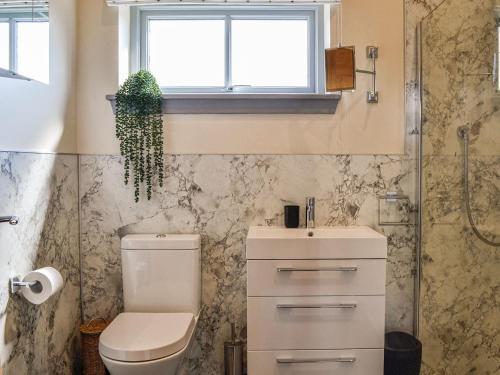a bathroom with a toilet and a sink and a window at Viola Cottage in Blairgowrie