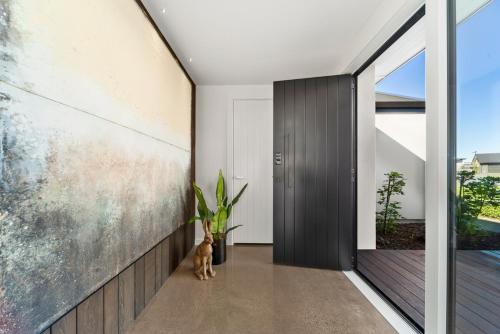 a cat sits in the hallway of a house at Nga Roto Retreat - Taupo in Taupo