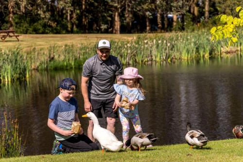 a man and two children and ducks by a pond at Tall Timbers Tasmania in Smithton