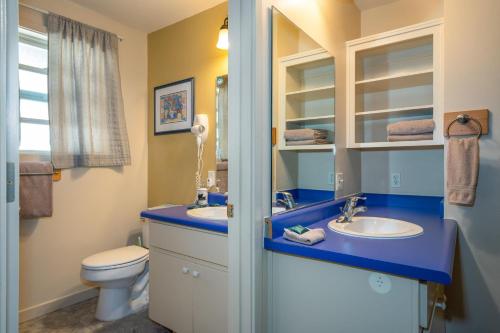 een blauwe badkamer met een toilet en een wastafel bij Falcons Nest (Downstairs) in Yosemite West