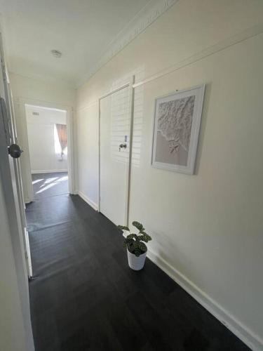 a hallway with a potted plant in a room at Sandown Springvale close to shop/station in Springvale
