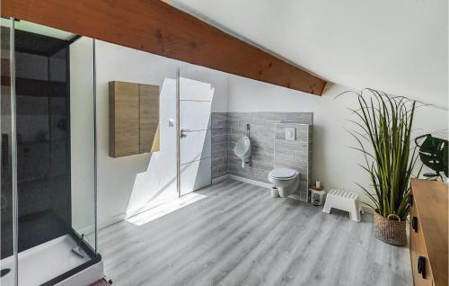 a bathroom with a shower and a toilet in a room at Beautiful Home In Pardailhan With Wifi in Pardailhan