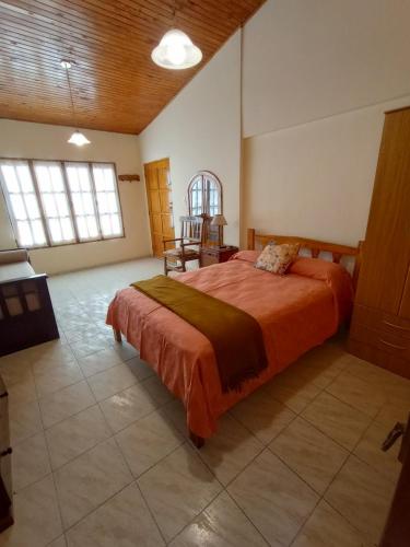 a bedroom with a large bed in a room at Hospedaje Cumbres Mendocinas - El Diamante in San Rafael
