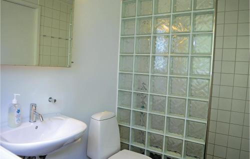 ein Badezimmer mit einem Waschbecken, einem WC und einem Spiegel in der Unterkunft 3 Bedroom Pet Friendly Home In Dronningmlle in Dronningmølle