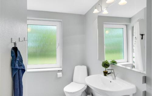 uma casa de banho com um WC, um lavatório e 2 janelas em Pet Friendly Home In Snedsted With House A Panoramic View em Snedsted