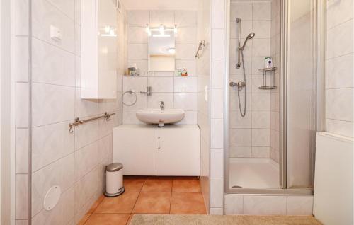 ein weißes Bad mit einem Waschbecken und einer Dusche in der Unterkunft Awesome Home In Strem With 1 Bedrooms And Wifi in Strem