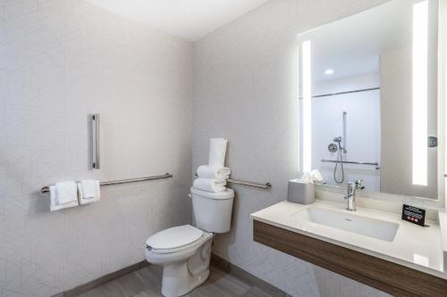 a bathroom with a toilet and a sink and a mirror at Holiday Inn Express and Suites Tampa I-75 at Bruce B. Downs by IHG in Tampa