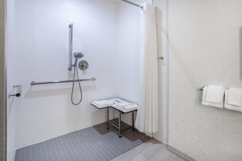 a white bathroom with a shower and a sink at Holiday Inn Express and Suites Tampa I-75 at Bruce B. Downs by IHG in Tampa
