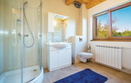 y baño con lavabo, ducha y aseo. en Villa Villa Monte - luxurious retreat, en Plaški