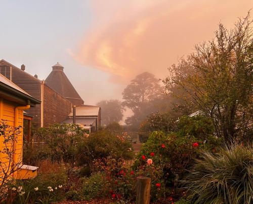a foggy yard with a house and trees and flowers at Clifton Homestead in Ranelagh