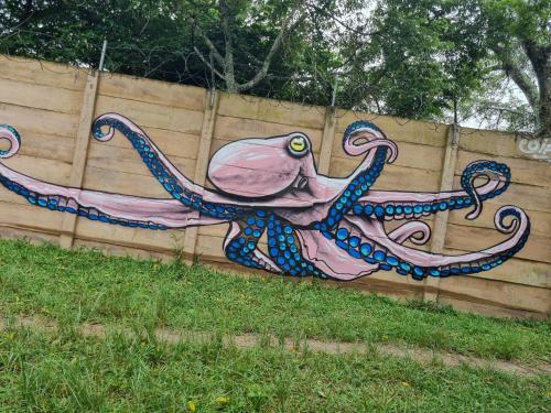 a painting of an octopus on a wooden fence at Kaia Homestead in Sodwana Bay