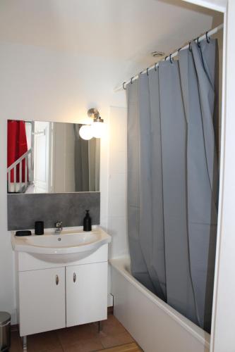 La salle de bains est pourvue d'un lavabo et d'un rideau de douche. dans l'établissement Agréable maison de vacances, à Gallargues-le-Montueux