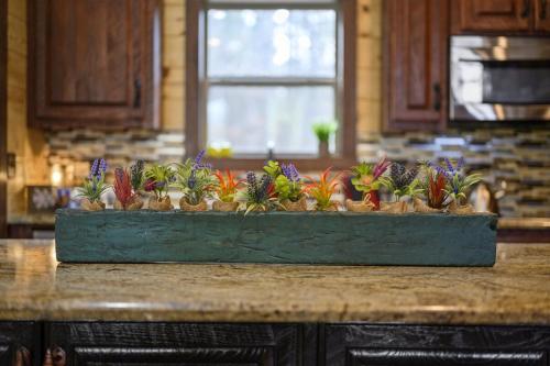 Indian Springs Lodge – Photos 3