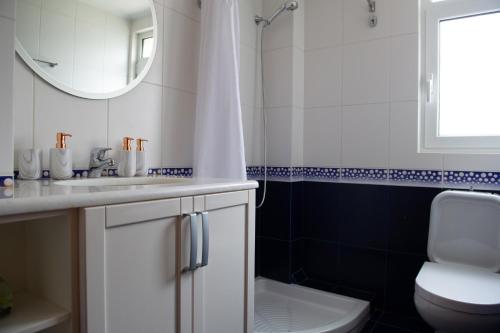 a bathroom with a sink and a toilet and a mirror at Villa Pasithea in Korfos