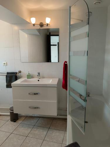une salle de bain avec un lavabo et une douche dans l'établissement Gite BA 3, à Épernay