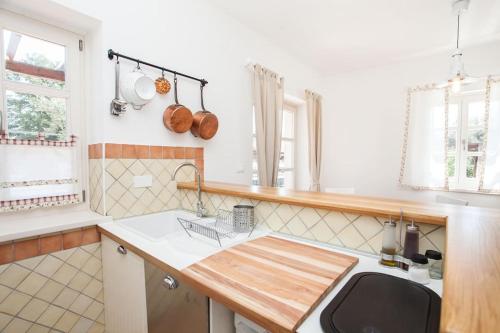 eine Küche mit einer Spüle und einer Theke in der Unterkunft Villa Petra in Poreč