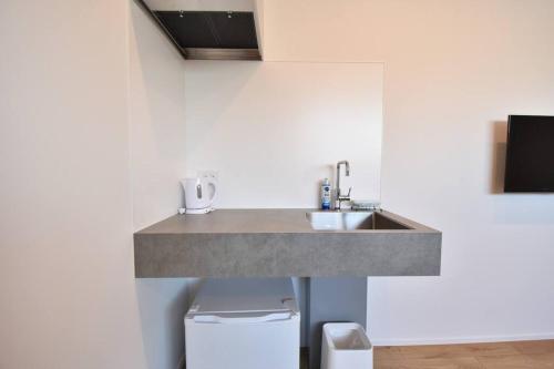 a bathroom with a sink and a toilet at Enzo Ikeda A in Omura