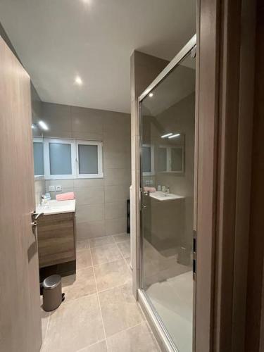 une salle de bain avec douche et lavabo dans l'établissement LE CLOS DORE et PARKING GRATUIT, à Beblenheim