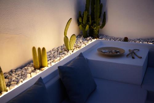 a blue planter with cacti and other plants on a shelf at Casetta Zio Franco in Polignano a Mare