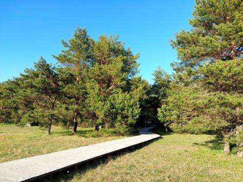 a wooden walkway in a park with trees at Jūras dzintars in Ainaži