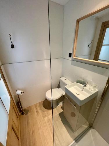 une salle de bain avec toilettes, lavabo et miroir dans l'établissement Beauregard Cévennes - Sublime chambre d'hôtes indépendante et moderne, à Monoblet