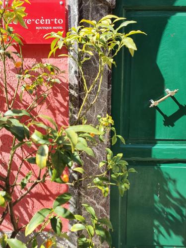 une porte verte avec une usine à côté d'un bâtiment dans l'établissement Boutique Hotel Novecento, à La Spezia