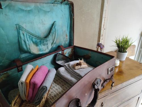an old suitcase with a cat sleeping in it at Panoramic Suites - Casa degli Artisti in Citerna