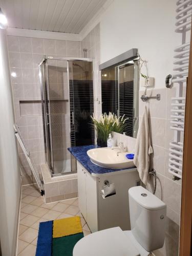 a bathroom with a toilet and a sink and a shower at Dom u Elizy in Białystok