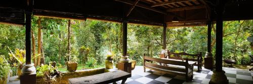 Gallery image of Happy Ria Homestay & Guesthouse in Bukit Lawang