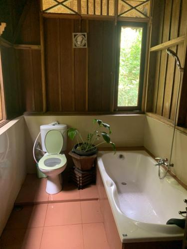 e bagno con servizi igienici, vasca e pianta. di Happy Ria Homestay & Guesthouse a Bukit Lawang