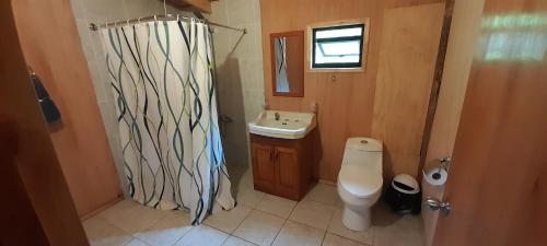 a bathroom with a white toilet and a sink at cabaña el descanso in Lago Ranco