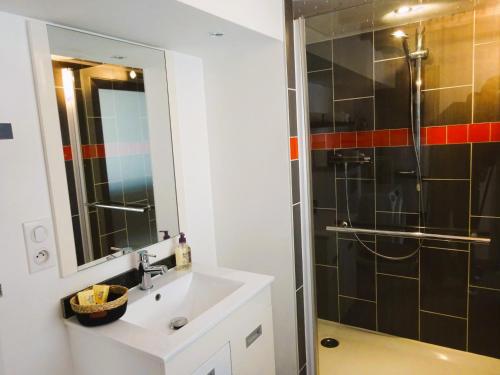 une salle de bain avec un lavabo et une douche dans l'établissement STUDIO TERRASSE, à Le Thillot