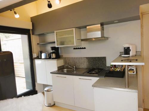 uma pequena cozinha com armários brancos e um lavatório em STUDIO TERRASSE em Le Thillot