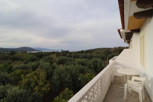 Foto Villa Aristea 5