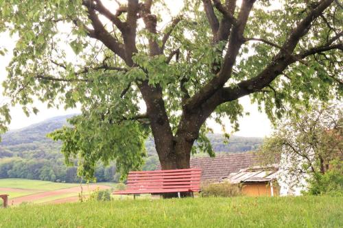 a red bench under a tree in a field at Ferienhaus Käfer in Steinbach
