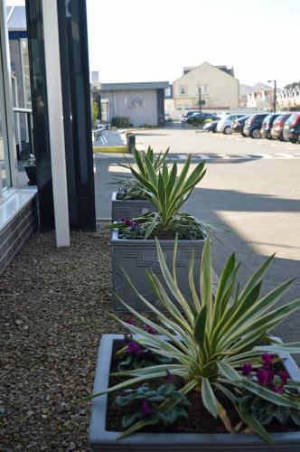 two potted plants sitting in front of a building at Best Western Kings Manor in Edinburgh