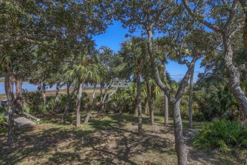 a group of trees with a beach in the background at Camp Palms @ Indian Pass by Pristine Properties Vacation Rentals in Indian Pass