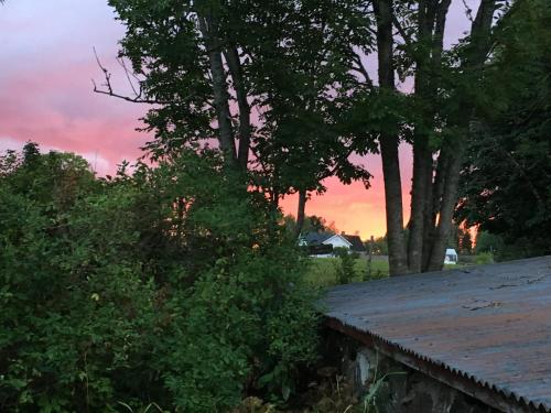 a house with trees and a sunset in the background at Svartarp Gård in Åseda