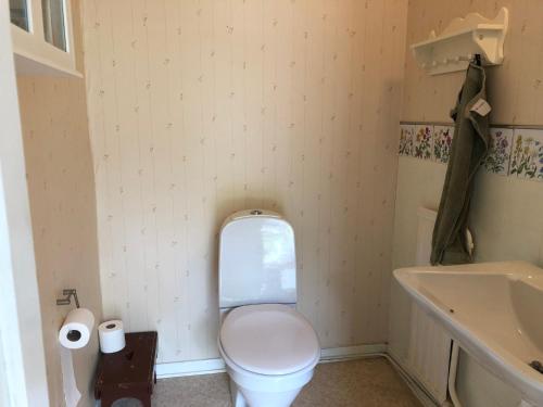 a small bathroom with a toilet and a sink at Svartarp Gård in Åseda