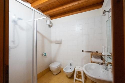 y baño con ducha, aseo y lavamanos. en Azienda Agrituristica Armea, en Desenzano del Garda