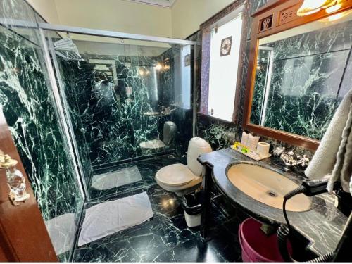 a bathroom with a shower and a sink and a toilet at Umaid Mahal - A Heritage Style Boutique Hotel in Jaipur