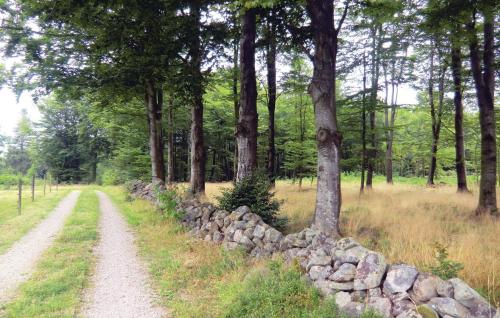 a stone wall next to a dirt road at Holiday Home Hörby Xiii in Hörby