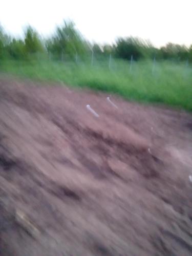 a blurry picture of a dirt field with grass at Geräumiges Haus für Familien Koppl in Habach