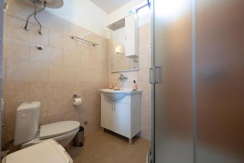 uma casa de banho com um WC, um lavatório e um chuveiro em Studio Apartman Ema 2 em Gornji Karin