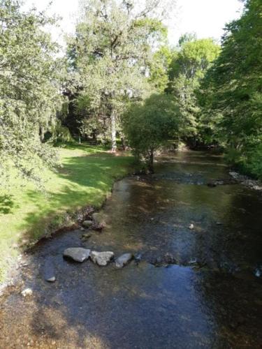 une rivière avec des rochers au milieu d'une forêt dans l'établissement La maison du village, à Encausse-les-Thermes